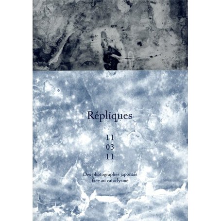 Répliques 11 03 11 - Des photographes japonais face au cataclysme