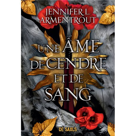 Le Sang et la Cendre (broché) - Tome 05 Une âme de cendre et de sang