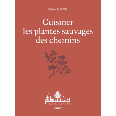 Cuisiner les plantes sauvages des chemins