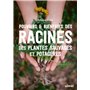 Pouvoirs & bienfaits des racines des plantes sauvages et potagères