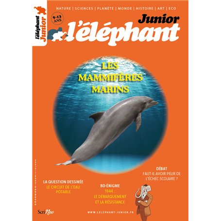 Elephant Junior - N° 22