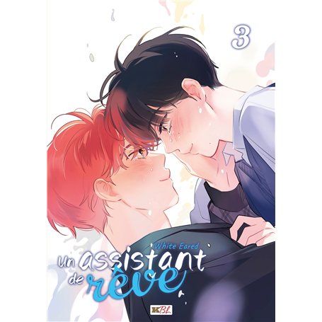 Un assistant de rêve T03