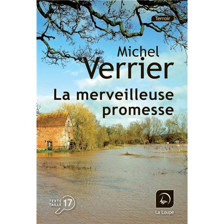 La merveilleuse promesse 22,50 €