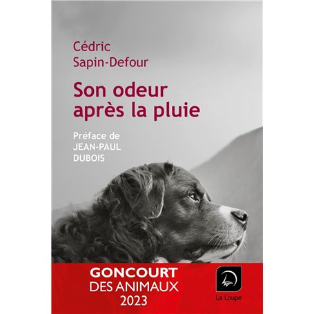 Son odeur après la pluie 21,92 €