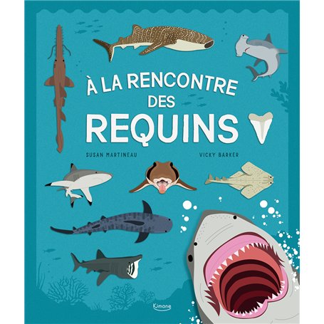 À la rencontre des requins