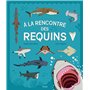 À la rencontre des requins