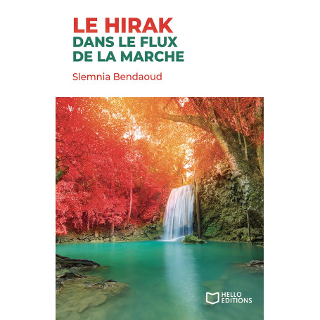Le Hirak : dans le flux de la marche