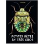 Petites bêtes en très gros