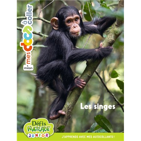 Bioviva - Les singes