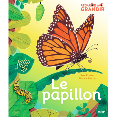 Regarde-moi grandir : le papillon