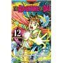 Dragon Quest - The Adventure of Daï T12