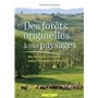 Des forêts originelles à nos paysages