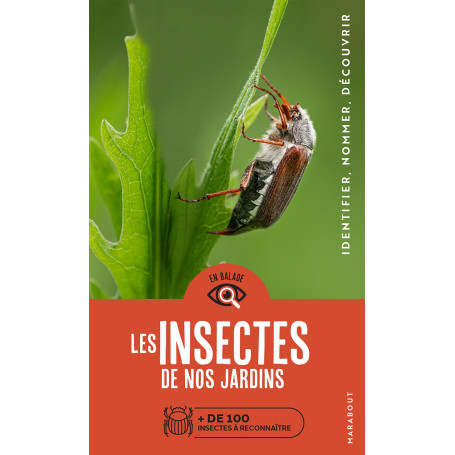 En balade - Les insectes de nos jardins