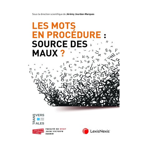 Les mots en procédure : source des maux ?