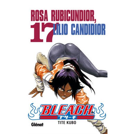 Bleach - Tome 17 7,05 €
