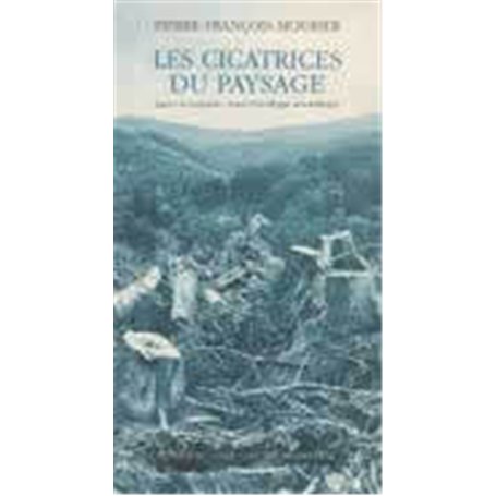Les Cicatrices du paysage 13,50 €