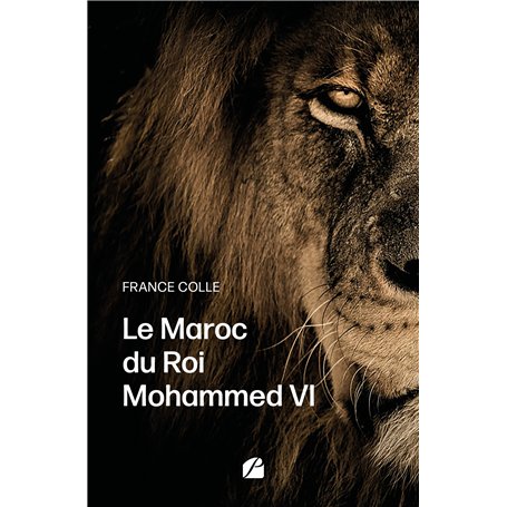 Le Maroc du Roi Mohammed VI