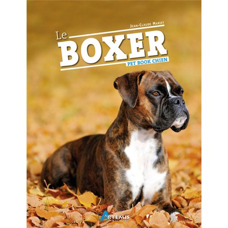Le boxer 15,56 €