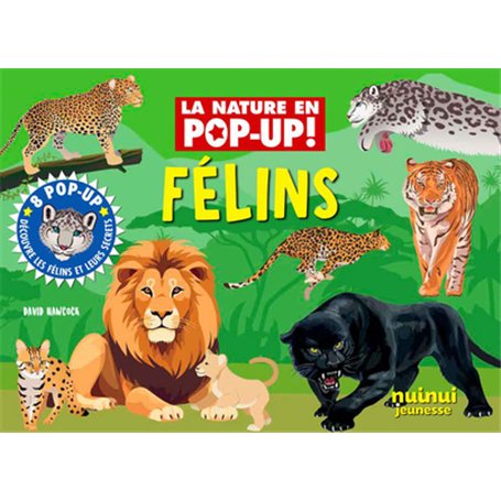 La nature en pop up - Félins