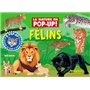 La nature en pop up - Félins