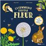 Ça commence par une fleur