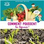 Comment poussent les légumes ?