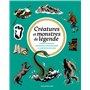 Créatures et monstres de légende 13,60 €