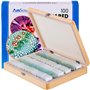 AmScope Lot de 100 Diapositives de Microscope préconçues pour Jeu de biologie à la Maison