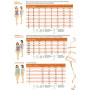 Vogue Patterns V1802A Patrons de robes pour femme en papier Tailles XS S-M-L-XL-XXL