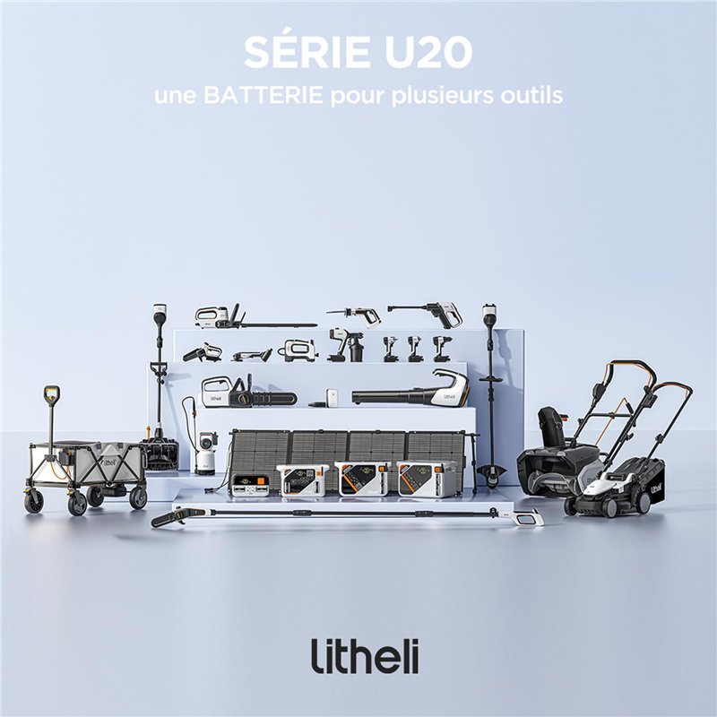 5 pièces étiquette d'adresse collier de chat collier de chien pour chiens de chat, collier petites étiquettes d'animaux d'identi