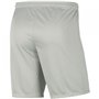 Short de Sport pour Homme Nike DRI FIT PARK III BV6855 017 Gris
