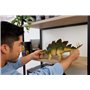 grand dinosaure herbivore avec queue articulée par
