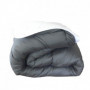 ABEIL Couette Bicolore - 220 x 240 cm - Blanc et gris 125,99 €