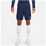 Short de Sport pour Homme Nike LEAGUE DRI FIT KNIT III DR0960 410 Blue marine
