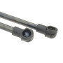 Frankberg 2x Ressorts à Gaz Hayon Compatibles avec 3er E46 318 320 323 325 330 M3 Cabriolet 2000-2007 Remplacer# 51248227895