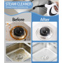 Multi-Usage Steam Cleaner