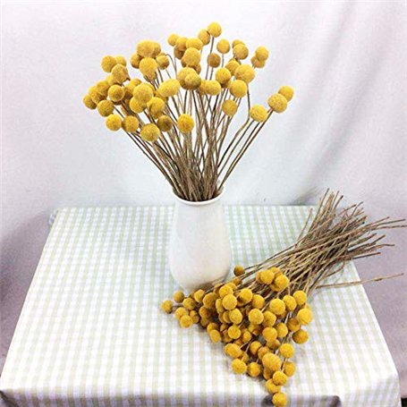 CODIRATO 10Pcs Outils de Modelage de Pâtisserie avec 4Pcs Outils de Pointage