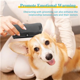 Lake of Tears-Greater Art