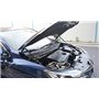 HIGH FLYING pour Kadjar 2015-2021 Capot Moteur Soulever Amortisseurs Support de Levage de Capot Extensibles Auto Verin hydrauliq