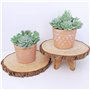 Dzxin Succulentes Artificielles, 11 Pièces Mini Plante Artificielle Plante Artificielle Exterieur pour Maison Décoration