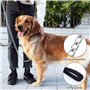 Laisse pour Chien en Métal