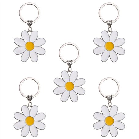 Morceaux De Clés De Marguerite