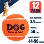 AMA SPORT - AD-Dog-Orange - Balles de Tennis pour Chiens (6,35 cm) -Taille M - Orange - Lot de 12 - Rebond Adapté - Haute Visibi