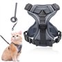 YUBBYSTU Ensemble harnais et laisse pour chat pour la promenade