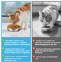 MOXYOY Lot de 3 gamelles en acier inoxydable pour chat - 14 cm - Assiette d'alimentation de rechange pour petit chat et chien