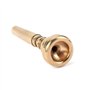 Embouchure de trompette Alnicov Embouchure d'instruments 7C en laiton doré compatible avec les débutants et les joueurs professi