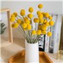 Lot de 30 tiges de fleurs séchées naturelles Craspedia de 2,5 à 4 cm de diamètre - Boutons jaunes - Bouquet de fleurs séchées na
