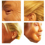 PartyHop Masque en Latex Donald Trump Président Américain Politicien Célébrité Masques de Tête Réalistes Humains Déguisement pou