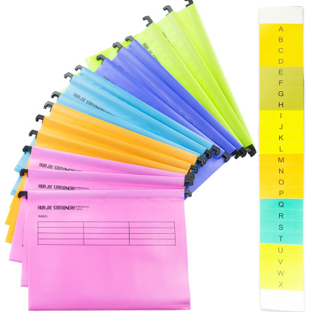 Lot de 15 dossiers suspendus en polypropylène avec onglets et inserts de cartes pour l'école