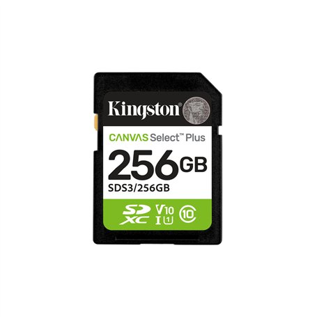 Carte Mémoire Micro SD avec Adaptateur Kingston SDS3/256GB 256 GB